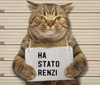 FB IMG 1534617611765