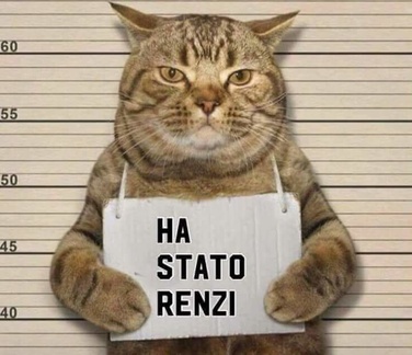 FB IMG 1534617611765