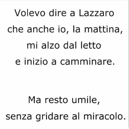 FB IMG 1535100087404
