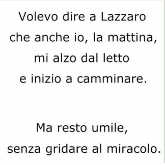 FB IMG 1535100087404