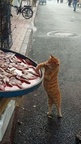 FB IMG 1537205591043