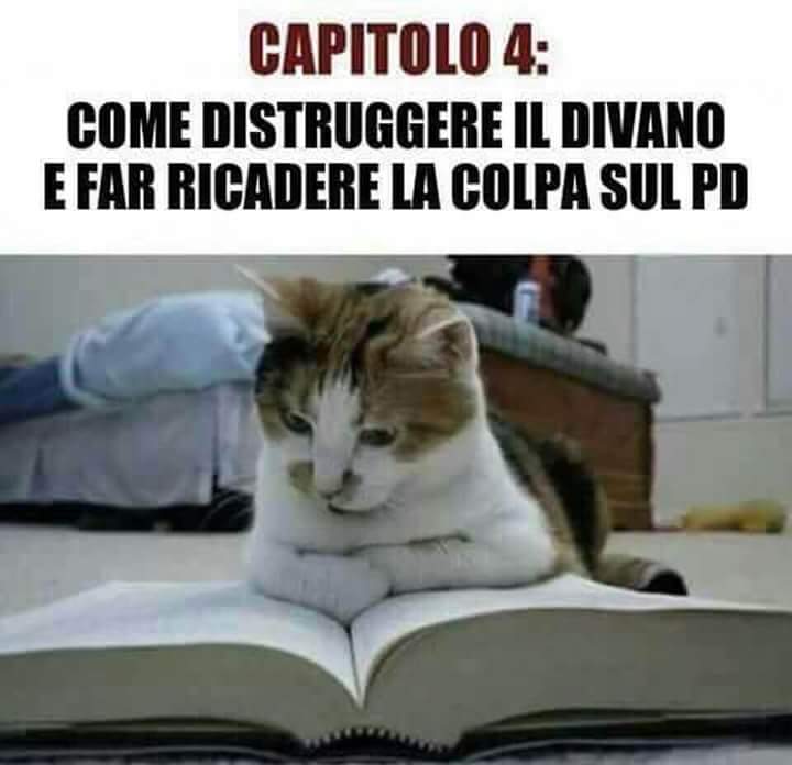 FB IMG 1534617507882
