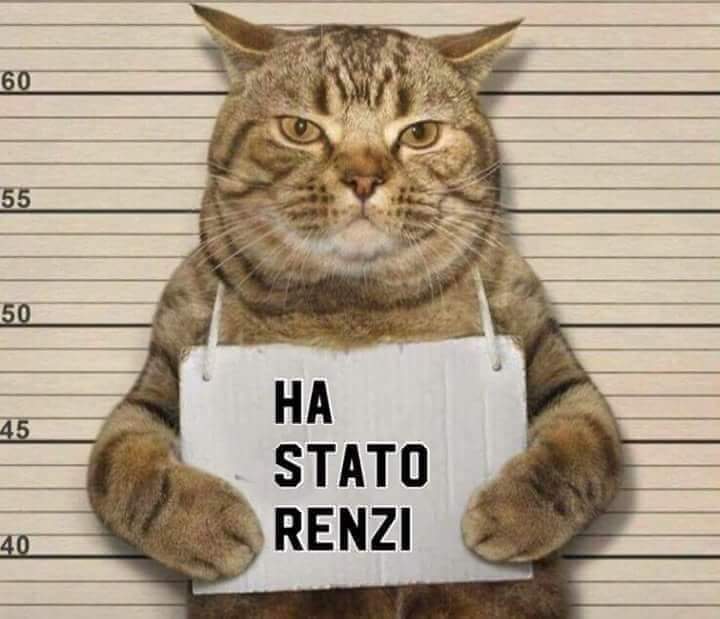 FB IMG 1534617611765