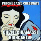 48405950 2229603283964100 1277339457267171328 n