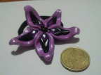 FIMO-0066 (197 visite) ASCIINone FIMO-0066