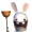 lapincretin